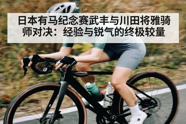 日本有马纪念赛武丰与川田将雅骑师对决:经验与锐气的终极较量