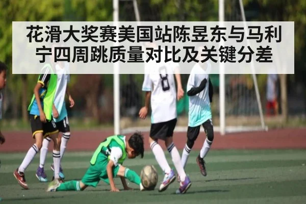 花滑大奖赛美国站陈昱东与马利宁四周跳质量对比及关键分差